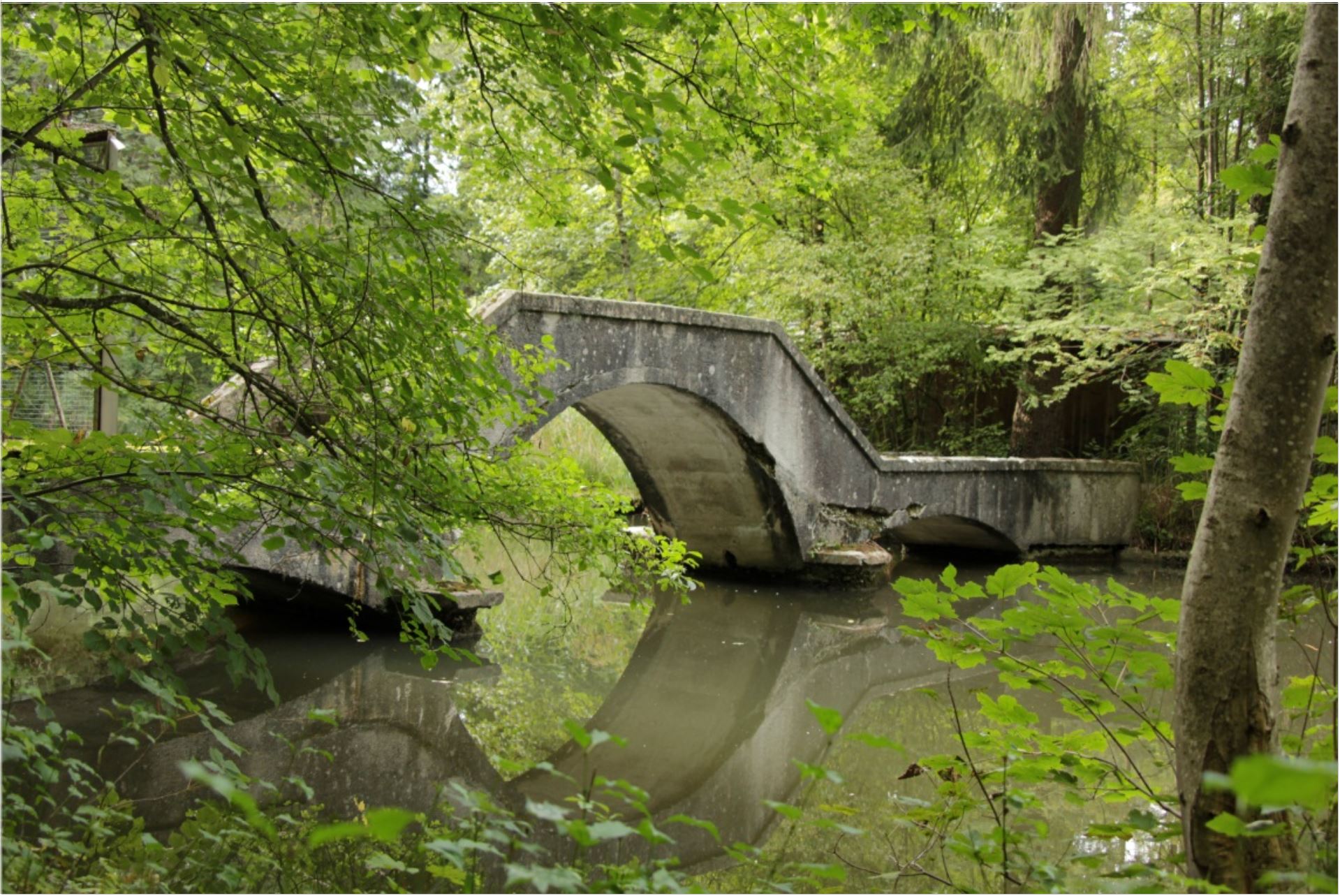 Brücke