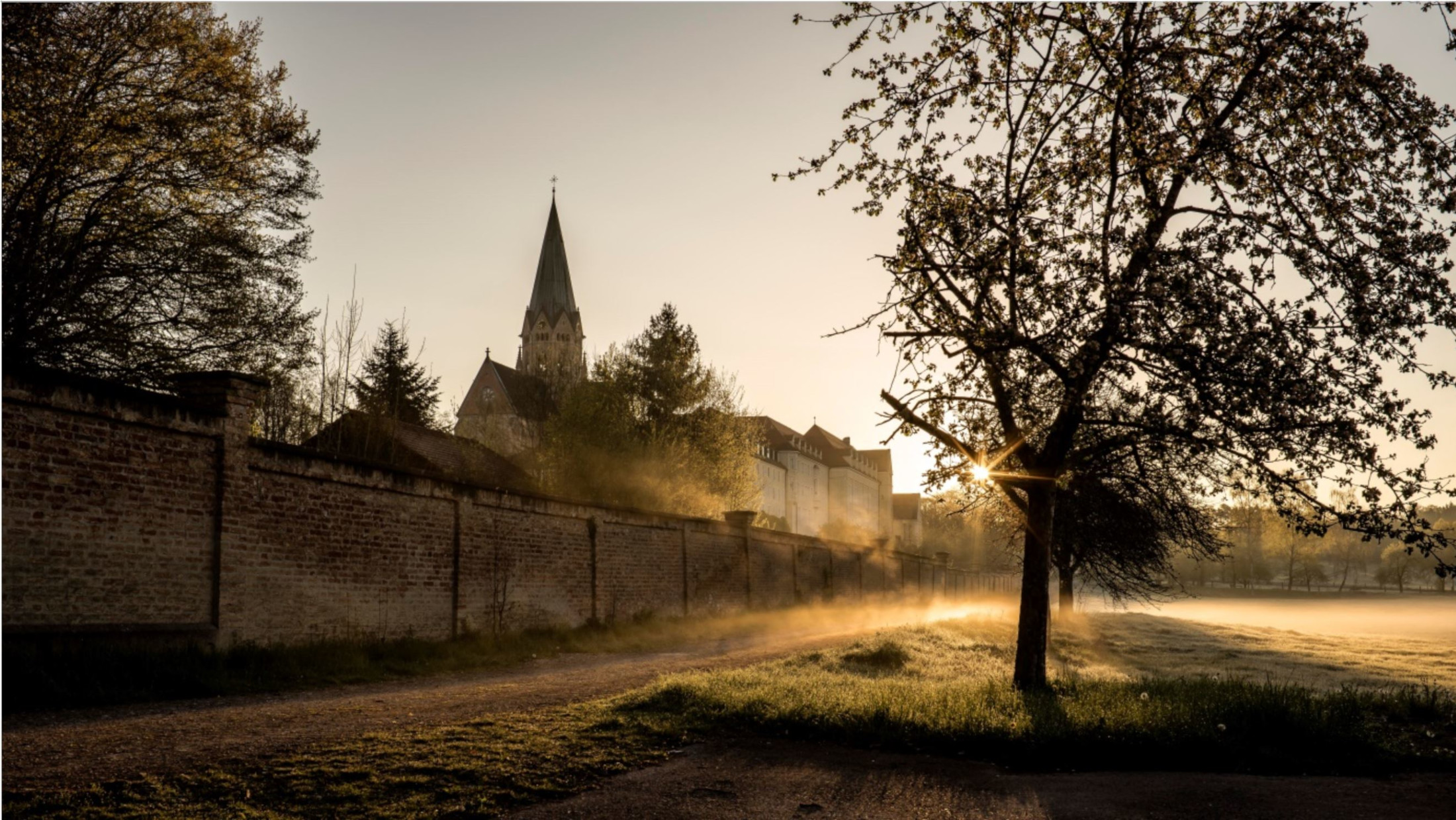 Morgennebel